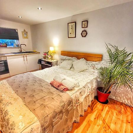 The Apple And Plum Cottage Studio Apartment New Reading Exterior photo