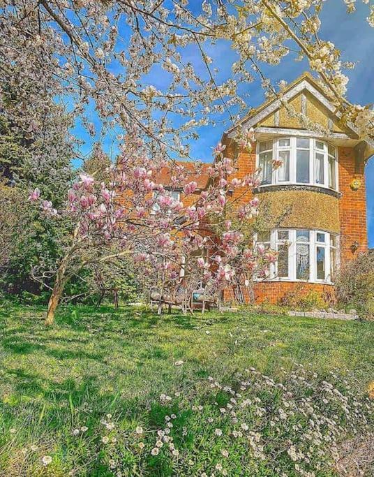 The Apple And Plum Cottage Studio Apartment New Reading Exterior photo