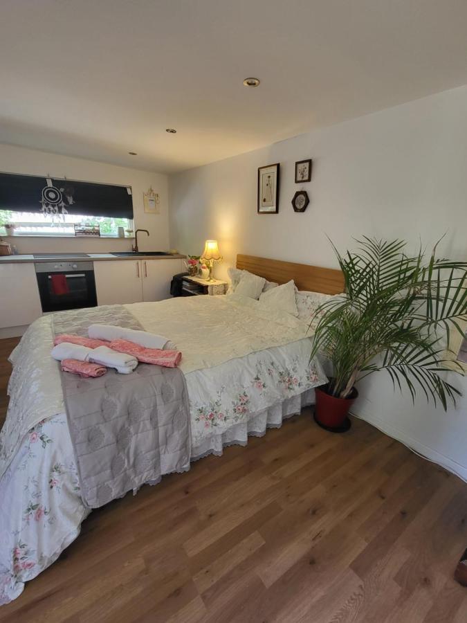 The Apple And Plum Cottage Studio Apartment New Reading Exterior photo